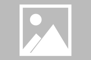 🎮发育双核难挡Liquid中期攻势 Nisha火猫超神带队 TBD输首局